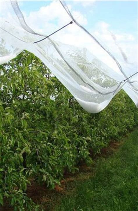Fortune Agro Net - Shade Net Manufacturing Company in Gujarat, India