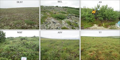 Plant Community 的图像结果