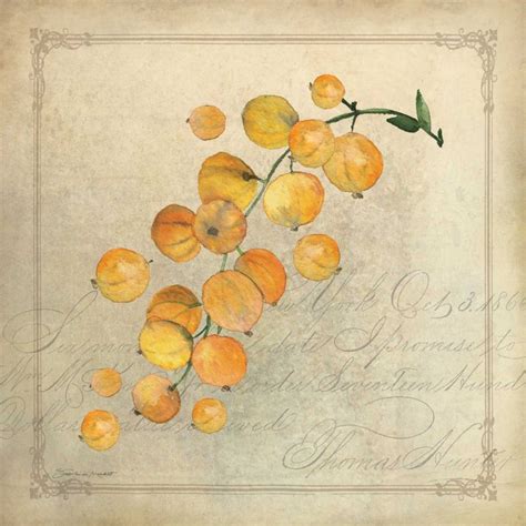 Framed Wall Art Painting Titled: Yellow Berries, by Marrott, Stephanie ...