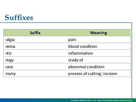 Chapter 1 The Basics and the Body What