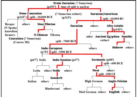 Image result for Language Tree Chart