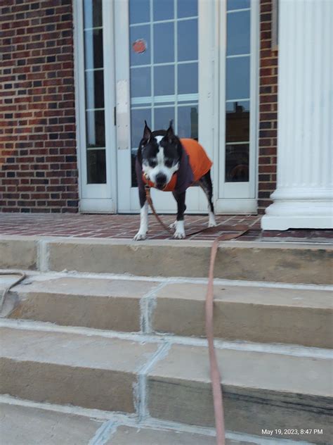 REED MEMORIAL LIBRARY - Ravenna OH - Hours, Directions, Reviews ...