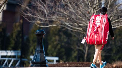 Image result for Springfield IL College Life