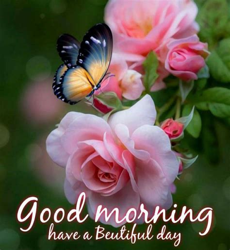 Top 999+ good morning and good night images download – Amazing ...