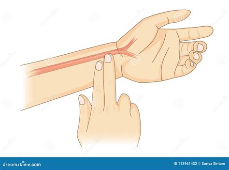 Heart Rate Sign. Electrocardiogram With Heart Shape. Heartbeat EKG Or ...