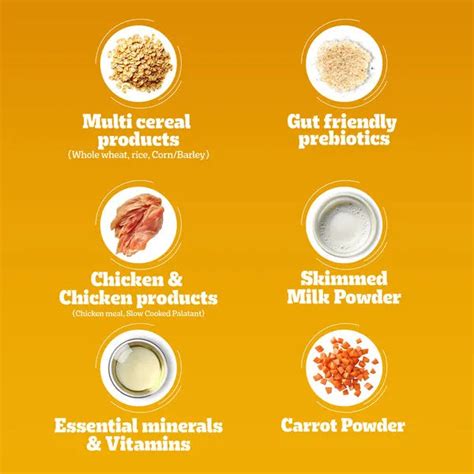 Pedigree Chicken & Milk Puppy Dry Food for Dogs – Wrapinfur