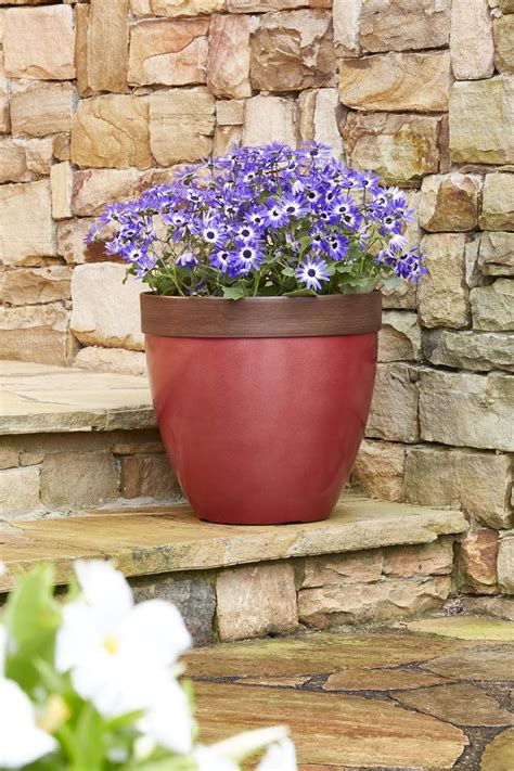Buy Southern Patio Hornsby Resin Outdoor Planter with Drainage Hole and ...