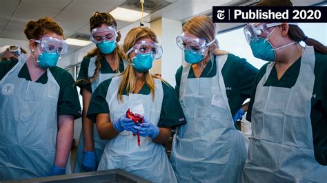 Image result for Compost Autopsy