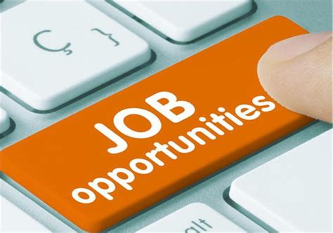 District Court Nuh Jobs: जिला न्यायालय नूंह में निकली क्लर्क पदों पर ...
