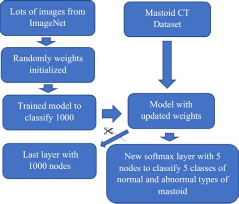 Image result for Include Data Augmentation Part in Transfer Learning of a Classification Model
