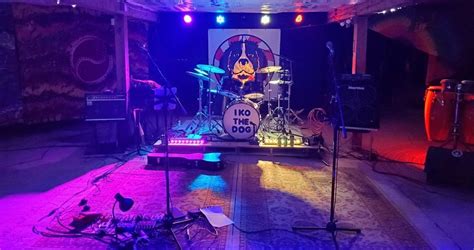 IKO the DOG at Green Wolf Brewing Co., Green Wolf Brewing Co ...