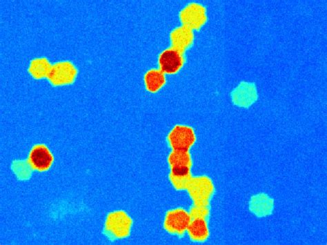 Nano Structures 2 D 的图像结果