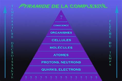 Image result for Complexite Difficile
