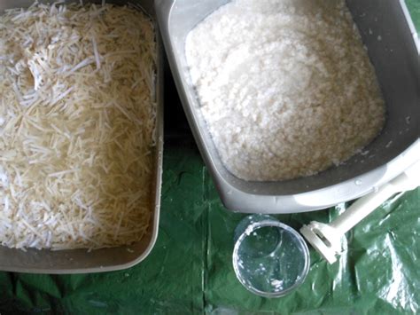 Image result for Making Pulp