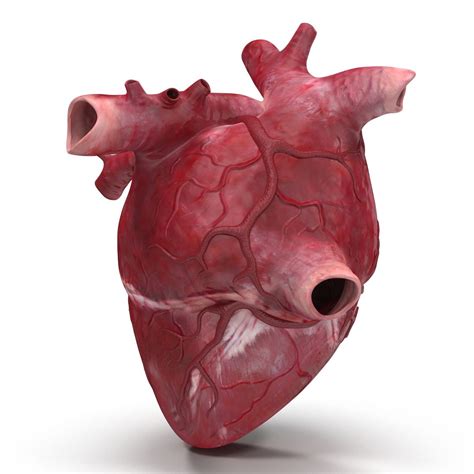 Image result for Heart with Name Using Python