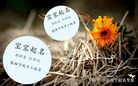 2021年出生的朱姓宝宝取名技巧：阳刚霸气、自由洒脱的男孩名字 - 知乎