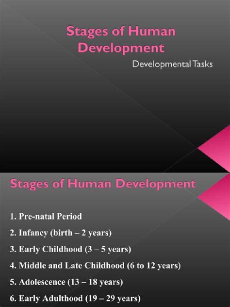 Image result for Human Development Stages Chart