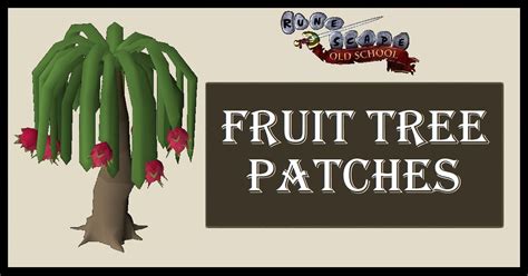 Image result for OSRS Tree Patches
