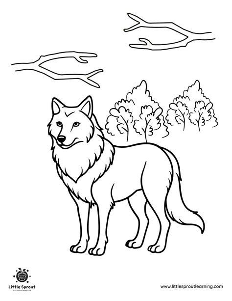 16 Best Wolf Coloring Pages - Free Printable Wolf Coloring Sheets ...