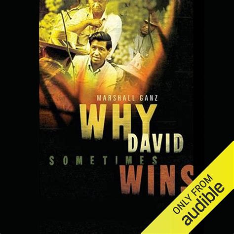 Why David Sometimes Wins: Leadership, Organization, and Strategy in the ...