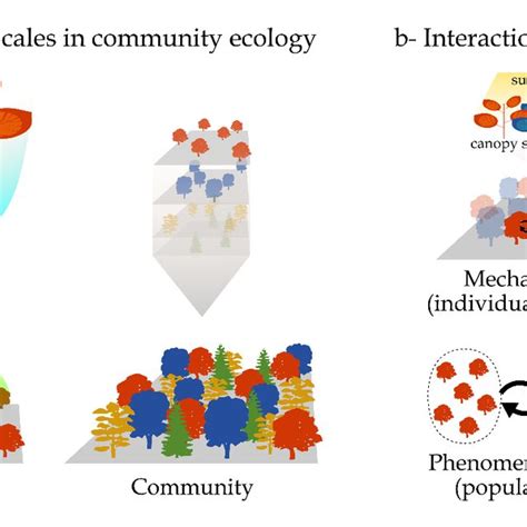 Plant Community 的图像结果