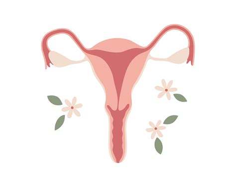 Uterus Clipart, Uterus Png File, Floral Uterus Digital Clipart, Womens Rights, My Body ...