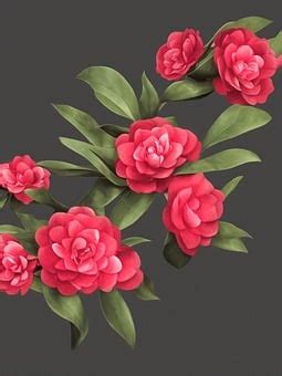 Image result for Flower Boquet Animation Code in Python