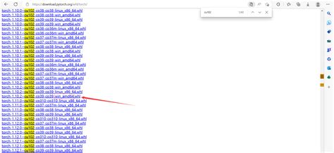 Python Import Torch Windows 的图像结果