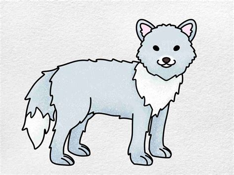 How To Draw An Arctic Fox Preschool at Rita Skelley blog