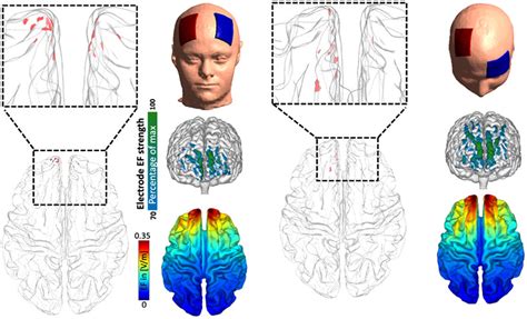 Image result for Brain Mapping Research