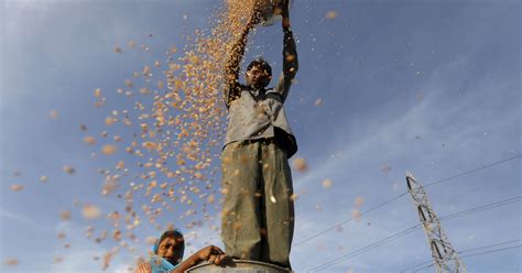 Beginning of Farming 的图像结果