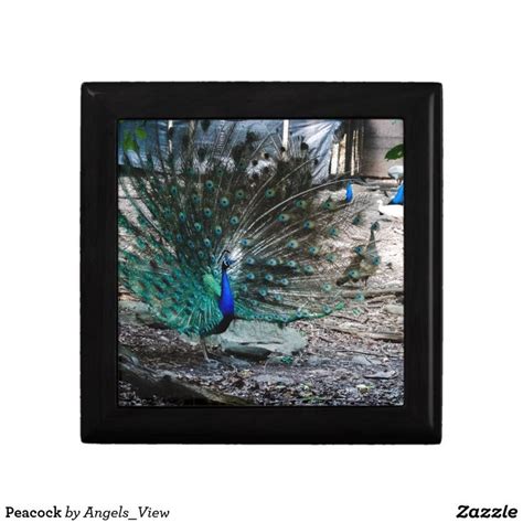 Peacock Gift Box Tutorial 的图像结果