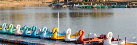 Book Flights from Bangalore starting INR 3,599 in 2025 | Air India