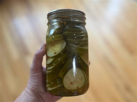 Homemade Spicy Garlic Dill Pickle Canning Recipe – Red Feather Farm