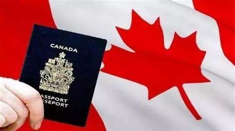 快看！2019年加拿大留学入境最新申报流程 - 每日头条
