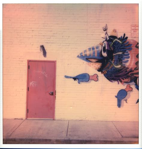 Polaroid OneStep 2 的图像结果