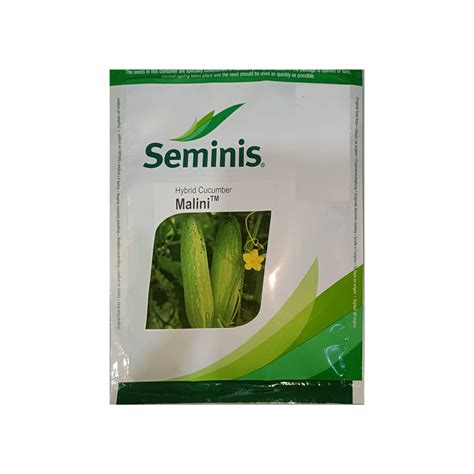 Malini Cucumber Seeds - Seminis | F1 Hybrid | Buy Online at Best Price ...