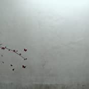 Decals Design 'Branch with Flowers' Wall Sticker (PVC Vinyl, 50 cm x 70 ...