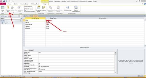 Image result for Visual Basic Access