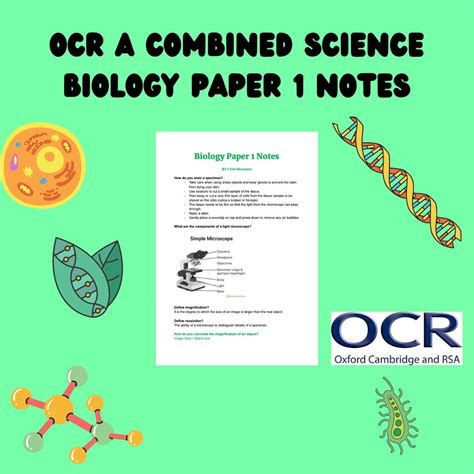 Basic Genetic Engineering GCSE Science OCR 的图像结果