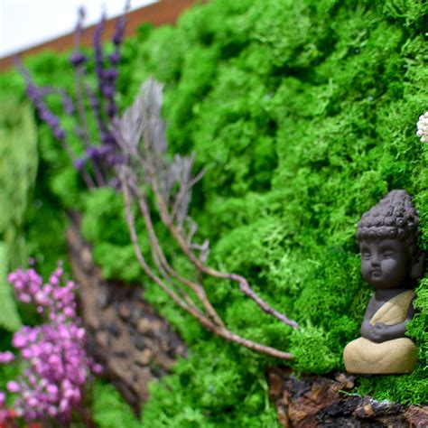 Enlightened Bodhi Moss Frame | Dark Wood Spiritual Decor – myBageecha