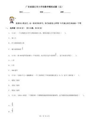 广东省湛江市小升初数学模拟试题（五）