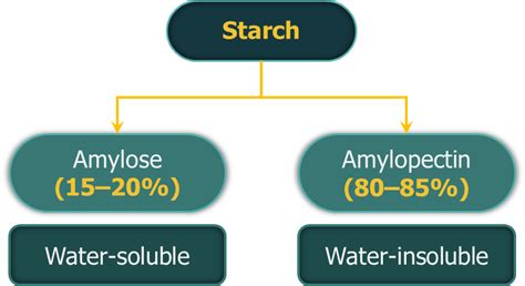 Polysaccharides – Introduction, Characteristics, Classification ...
