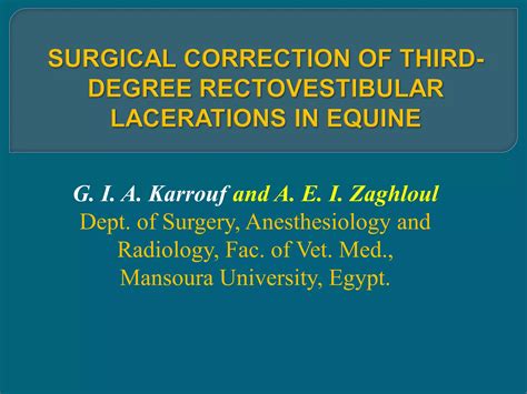 Third-degree Rectovestibular Lacerations in mares and mare donkeys | PPT