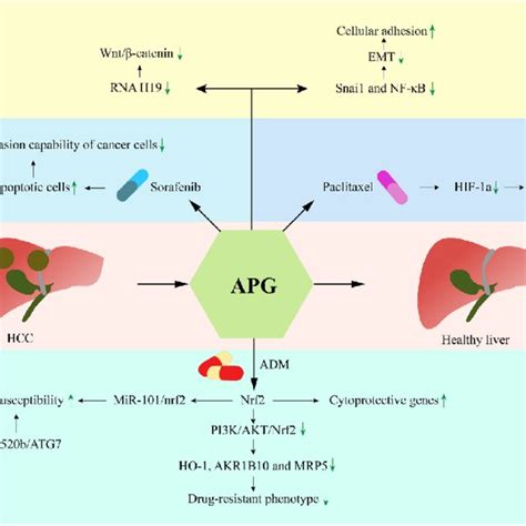 Image result for APG Processing