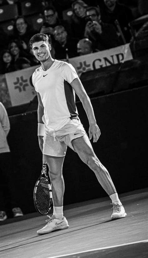 Alcaraz 的图像结果