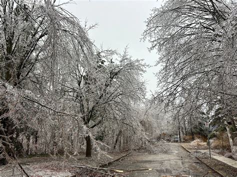 Photos: Ontario ice storm causes widespread damage, outages - The ...