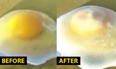 Raw Eggs and Instant Noodles Freeze in China’s Coldest Town, Video Goes ...