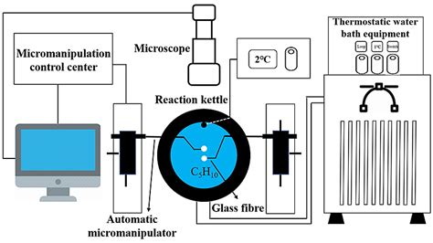 Effect of Surfactants with Different Hydrophilic–Lipophilic Balance on ...