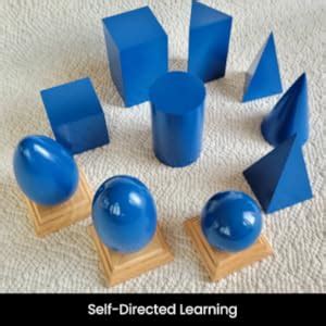 Buy Brilla Montessori Geometrical Solids Wooden Set Box – Multi Color ...